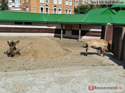 Grădina zoologică din Moscova, Moscova - 