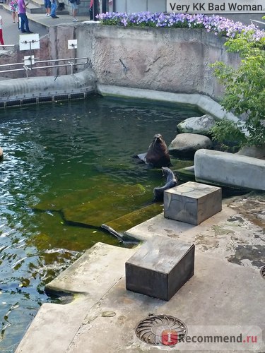 Grădina zoologică din Moscova, Moscova - 