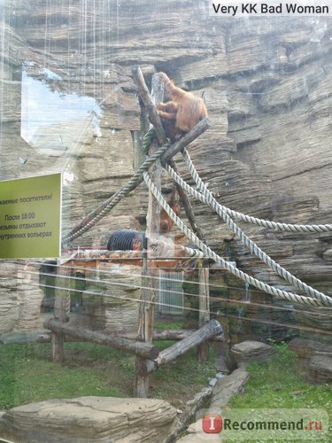 Grădina zoologică din Moscova, Moscova - 