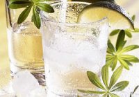 Mojito rețete pentru pregătirea unui cocktail la domiciliu