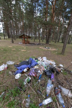 Сміття в лісі - реальна загроза!