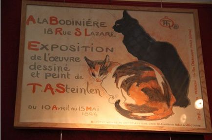 Cat Museum, Amsterdam