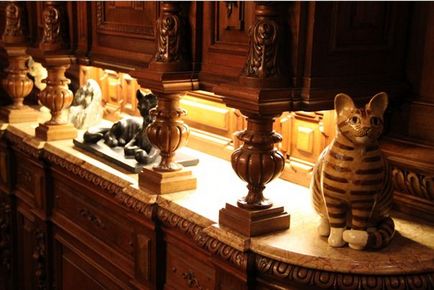 Cat Museum, Amsterdam