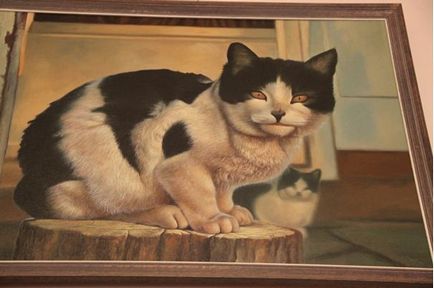 Cat Museum, Amsterdam