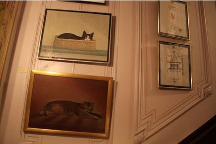 Cat Museum, Amsterdam