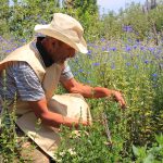 Nairian prima marca de cosmetice naturale din Armenia - comentarii, frumusețe insider