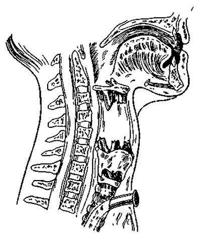 Leziuni externe ale gâtului