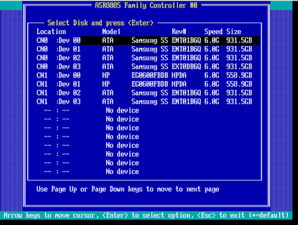 Configurarea adapte raid 8885, configurarea serverelor Windows și linux