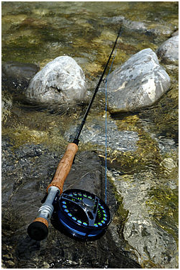 Fly Fishing Rods