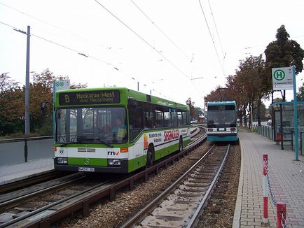 Szokatlan buszok - Metrobus és buszos