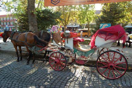 Нерозказаних історії старого Созополя (Созополь, болгарія)