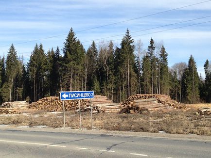 Нові величезні вирубки лісу в Підмосков'ї веде гк автодор, екооборона московської області