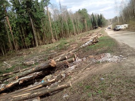 Noua defrișare uriașă din suburbiile orașului conduce în mod inevitabil, eco-apărarea regiunii Moscova