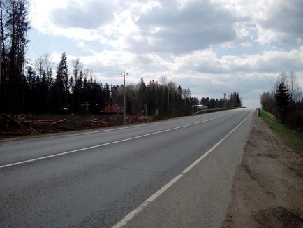 Нові величезні вирубки лісу в Підмосков'ї веде гк автодор, екооборона московської області