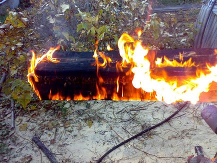 Обгоріле дерево ідеї для будинку