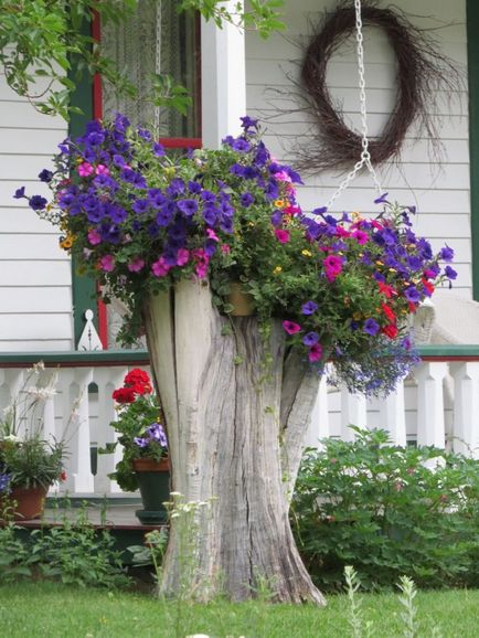 Decorarea patului de flori din apropierea casei cu propriile idei de design foto