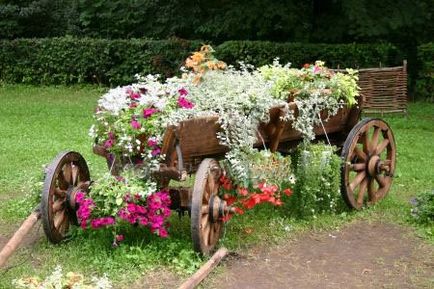 Decorarea paturilor de flori și a paturilor de flori cu propriile mâini exemple de fotografii, idei, sfaturi