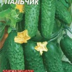 Огірки жіночого типу цвітіння, інтернет-магазин насіння - агроконтінент