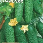 Огірки жіночого типу цвітіння, інтернет-магазин насіння - агроконтінент