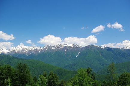 Олімпійське спадщина сочи олімпійське спадщина сочи, росія купити екскурсію, опис, інформація