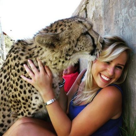 A salvat pisoiul de ghepard de la vânătorii de trofee