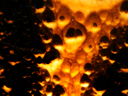 Backlit ónix (természetes kő padlók) háttérvilágítású ónix