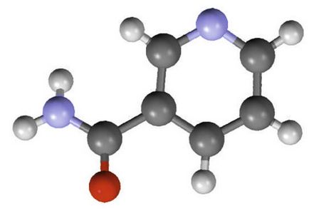 Organoterapia în clinică - kivach