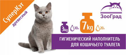 Coliere pentru pisici, magazin online de animale de companie zoografie