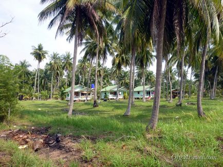 Insula Pangan sau Koh Phangan (kho phangan)