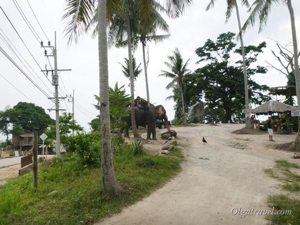 Острів Панган або До Пханган (kho phangan)