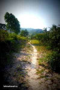 Insula pangan (koh phangan) ce să faceți, lăsați-vă să călătoriți