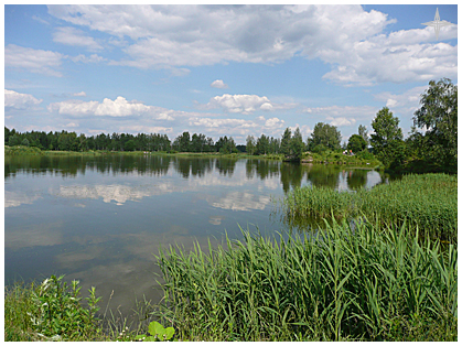 Se odihnește pe insula lac - turbă în elk