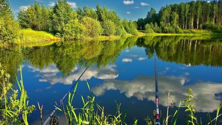 Відпочинок в Севастополі на природі