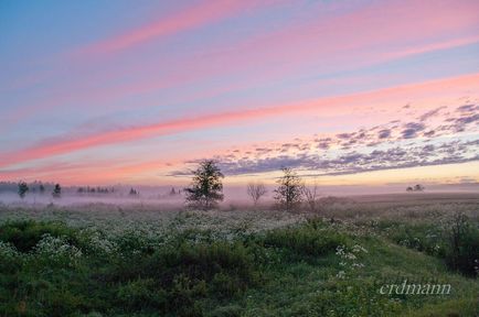 Despre creativitatea în fotografie și evaluări naturale