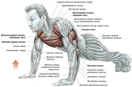 Push-up-uri de la podea la programul de la sol