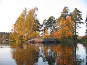 Tó halászat a leningrádi régióban - a népszerű fizetett és ingyenes parkolási vélemények