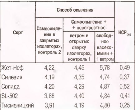 Озимий ріпак - медоноси - все про мед і бджільництво