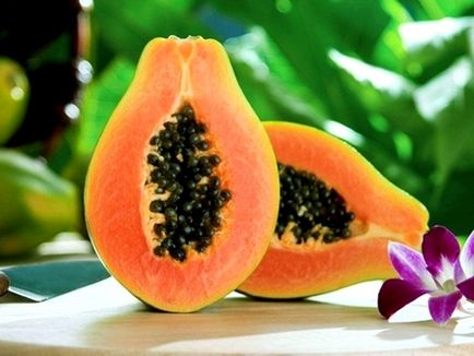 Papaya - cultivarea și îngrijirea plantei acasă