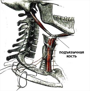 Fractura osului hioid - cauze și simptome, diagnostic și tratament