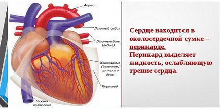 Pericardita inimii ce este, simptome, cauze și tratament