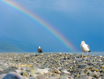 Adler plaje - fotografii de nisip și plaje de prundis pentru odihnă