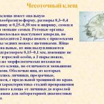 Чому шумить у вухах і голові що робити, паморочиться голова в тиші, як вилікувати і як це лікуватися