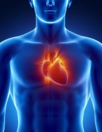 Чому виникає асистолія шлуночків серця і як їй запобігти