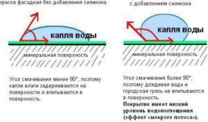 Фарбування опудал качок якою фарбою фарбувати, расскраска своїми руками