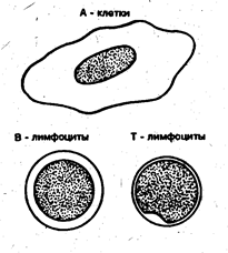 Conceptul de 