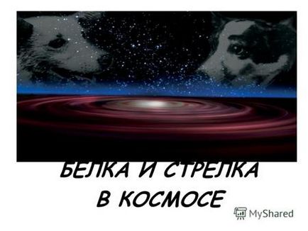 Презентація на тему наші вірні друзі-собаки