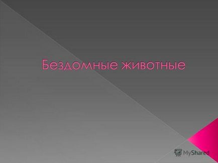 Презентація на тему наші вірні друзі-собаки