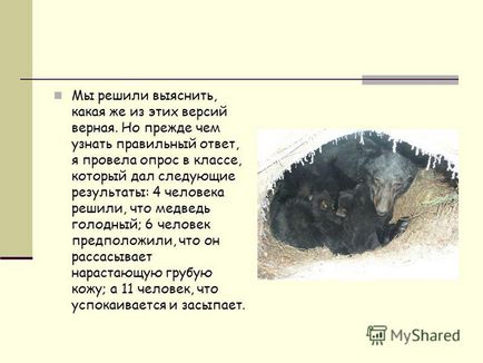 Előadás miért télen szar medve mancsa (téma) Előadás miért télen szar medve mancsa
