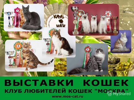 Prezentare pe tema expoziției klk - moscow - în anii
