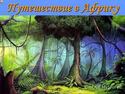 Презентація на тему зебу це дика корова або бик але її привчають зебу 1 (лат